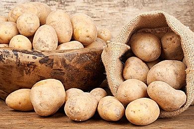 任天堂确定9月在美国西雅图举行年度游戏庆典